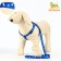 Kapon "Bones and Paws" kit, leash 120 x 1.5 cm, og 30-44 cm, blue