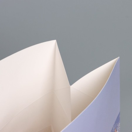 The package of the "delicious New Year", 23 x 18 x 11 cm, New Year-7