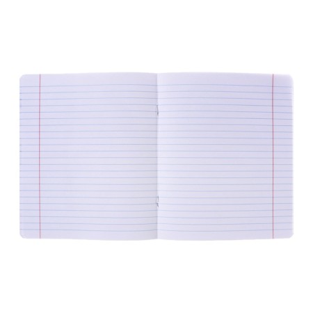 Notebook of 48 sheets in the Erichkrause MC-7 line, cover coated cardboard, offset block, mix-11