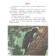 A terrible beast. Tales and stories. Ushinsky K.D., Tolstoy L.N.