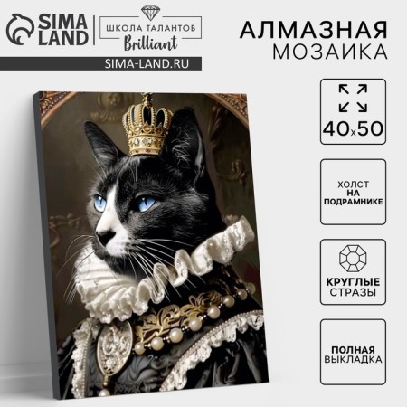 Diamond mosaic with a full filling on canvas with a subframe "Musier Cat", 40 x 50 cm