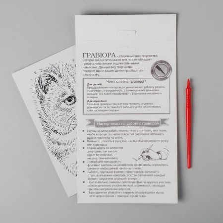 Engraving "fluffy kitten" A5, with a metallic effect "holography"-3
