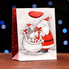 Laminated “Snow Harmony” package 11.5 x 14.5 x 6 cm