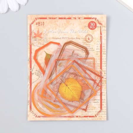 Stickers for creativity "Tags - autumn leaves" set of 30 pcs 0.2x8x11 cm-3