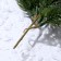 Decor "Branch of the Vysya spruce"