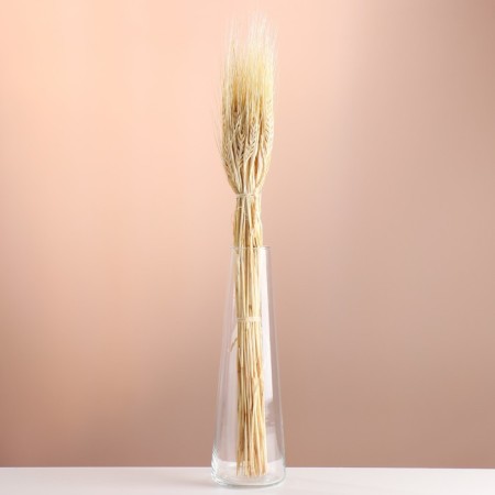 Set of dried flowers "rye", banch 35-40 pcs, 60 gr. length 60-65 (+/- 6 cm), bleached