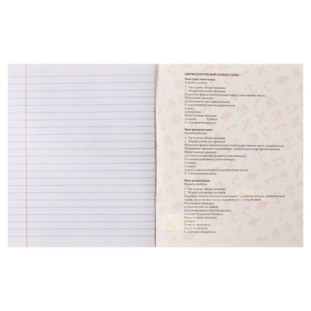 Subject note Calligrata Top "sneakers", 48 sheets in the line Russian, with reference material, cardboard cover, glossy lamination, offset unit-3