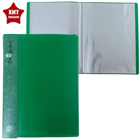 Folder with 60 A4, 500 microns, Calligrata, pocket on the spine, green