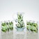 Set for Kalla's juice art painting, 6 glasses 1250/200 ml