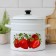 Cylindrical pan, 10 l, enameled cover, induction, sample mix