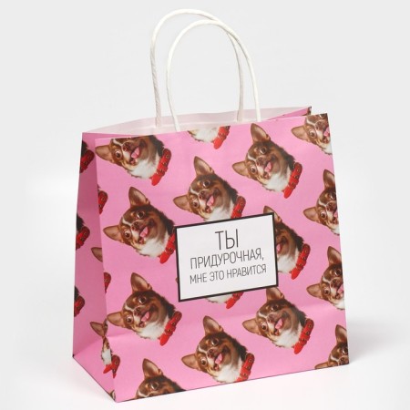 Gift package, packaging, Kisa, 22 x 22 x 11 cm-2