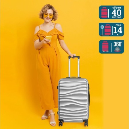 Suitcase Fusion FTS-1006, S, silver-9