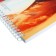 A4 notebook, 120 sheets in the cage on the crest "amazing landscape", cover coated cardboard, glossy lamination, mix
