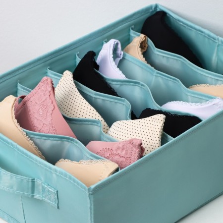 Organizer for storing linen "Comfort", 7 departments, 35 × 24 × 13 cm, barrier color-5