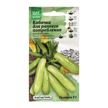 F1 zucchini seeds for prolonged fruiting "Galaxi", 5 pcs