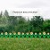 Decorative fence, 32.5 × 225 cm, 5 sections, plastic, white flower "Chamomile"