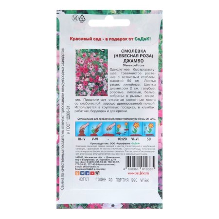 Smololevka, Silena, Jambo Seeds, Smolovka, Smolo.-1