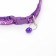 The two -layer collar with the Fastex "Squares", 30 x 1 cm, purple