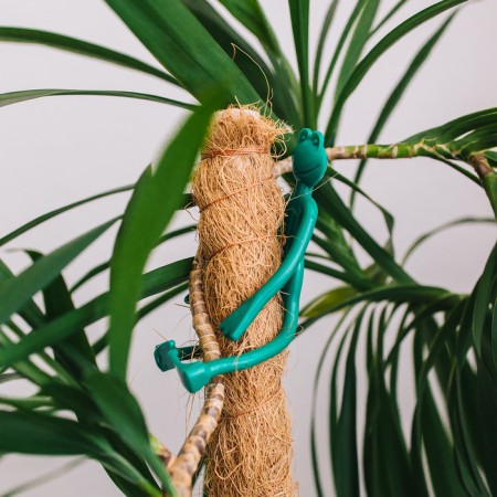 Garter for plants "Frog", set 2 pcs., Green, Greengo-3