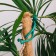 Garter for plants "Frog", set 2 pcs., Green, Greengo
