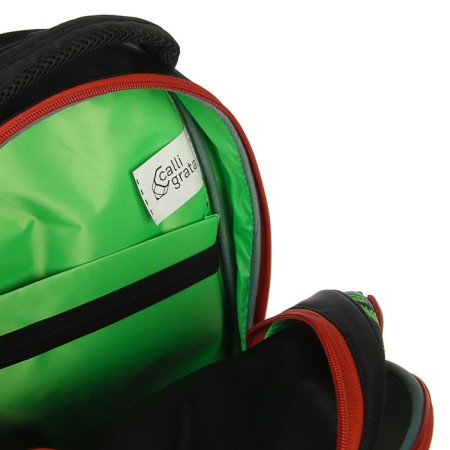 School backpack, 39 x 28 x 18 cm, + bag for shoes, calligrata p "Cool dino", green-14