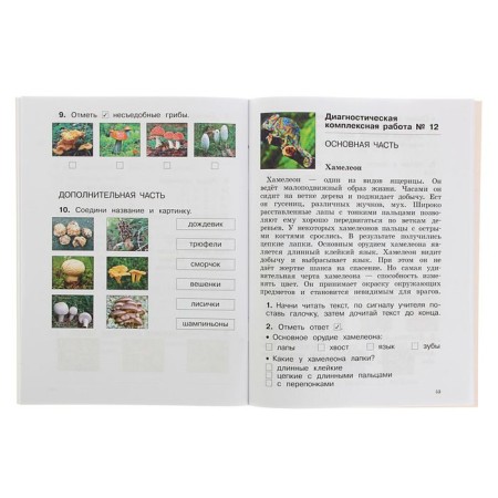 Diagnostic complex work. Russian language. Mathematics. The world. Literary reading. Grade 2. Uzorova O.V., Nefedova E.A.-2
