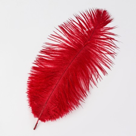 Feather for decor, size: 24 cm, burgundy color-2