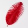 Feather for decor, size: 24 cm, burgundy color