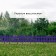 Decorative fence, 35 × 210 cm, 5 sections, plastic, lilac, Gotika, Greengo