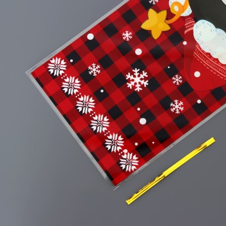 Gift package, "New Year Mix" 13x27 cm-11