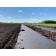 Mulching material, with perforation, 10 × 1.6 m, density 60 g/m², with UV stabilizer, black
