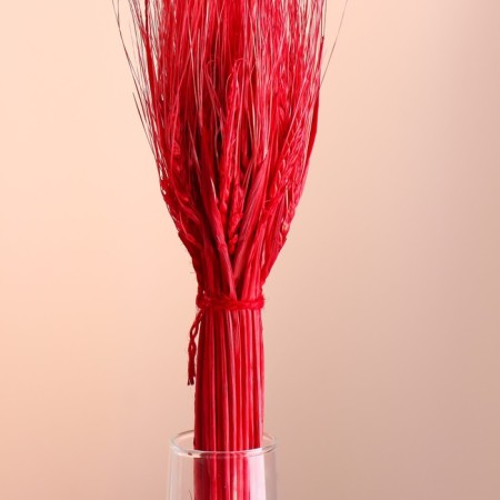 Set of dried flowers "rye", banch 35-40 pcs, length 55-65 (+/- 6 cm), red-1