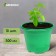 Pot for seedlings, 500 ml, d = 11 cm, h = 8.5 cm, green, in a set of 10 pcs., Greengo