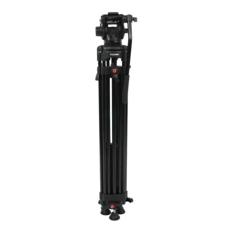 Greenbean Videomaster 309MS DISPECTION-1