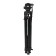 Greenbean Videomaster 309MS DISPECTION