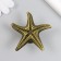Handla for the casket Metal "Sea Star" Bronze 5.3x5.3x2.3 cm