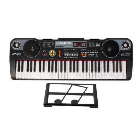 Synthesizer "Master" with puppies, display, 61 key-1