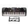 Synthesizer "Master" with puppies, display, 61 key