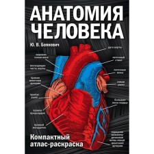 Анатомия человека: компактный атлас-раскраска. Боянович Ю. В.