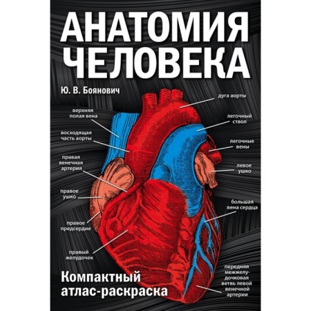 Human anatomy: compact atlas coloring. Boyanovich Yu. V.