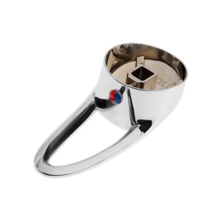 Handle on the mixer "CSC" SK600481, for D40, chrome-2