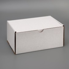Self -charged box, white, 22 x 16.5 x 10 cm