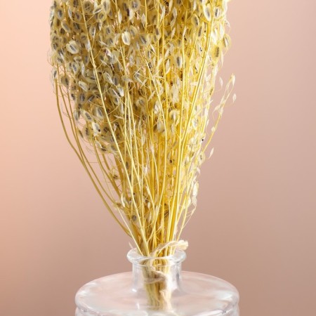 Set of dried flowers "Monetnik", banch length 60 (+/- 6 cm), bleached-1