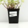 Sein -clock spoture "Bikon Silver", P9 pot, 1 pc, spring 2024