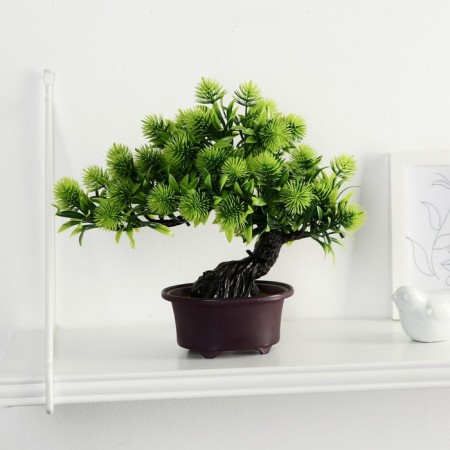 Bonsai in the Pushstotsvet pot 12x22 cm, mix