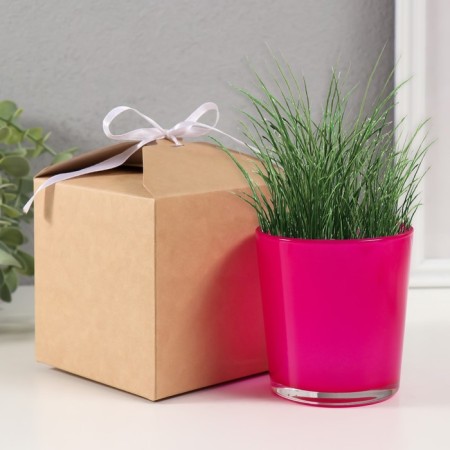 Set for growing plants "grow grass" pink-3