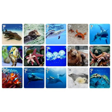 The board game "Mi-Mi-Memo. Sea creatures"-2