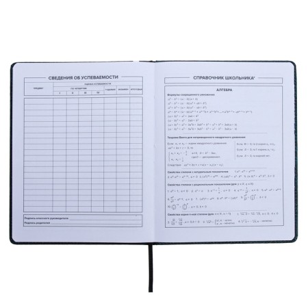 Universal Diary Grade 1-11, 48 sheets of "guitar", a solid cover of artificial leather, lies, an offset unit-9