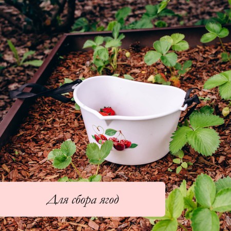 Capacity for collecting berries, 3 l, "Cherry"-4