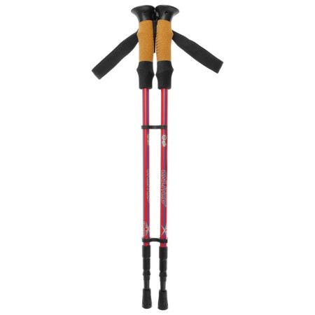 Sticks for Scandinavian walking online, telescopic, 3 sections, up to 135 cm, 2 pcs., Mix color-9
